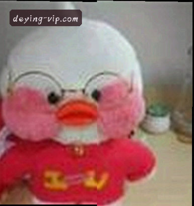 赵哥